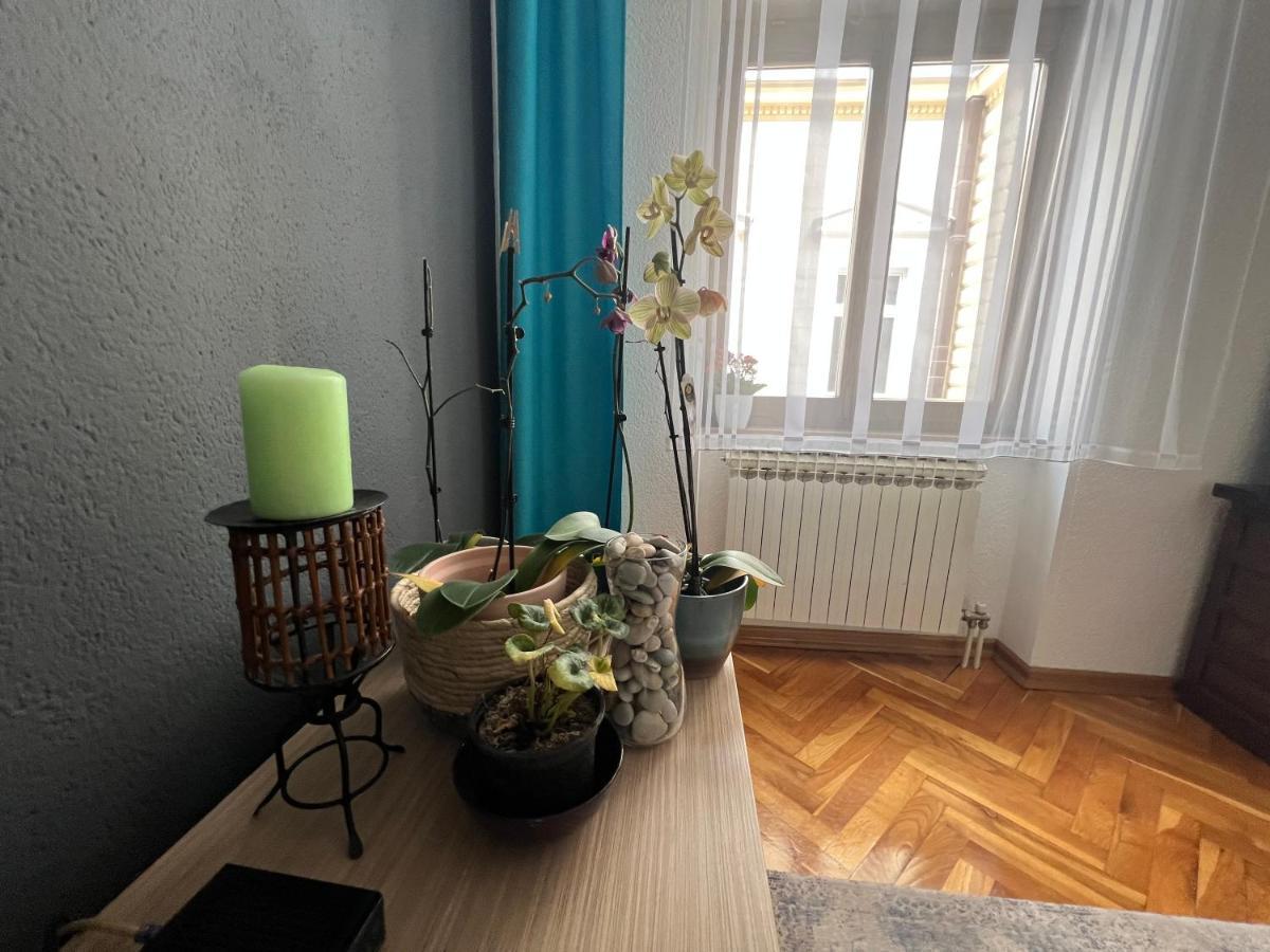 Djana Apartment 塞拉耶佛 外观 照片