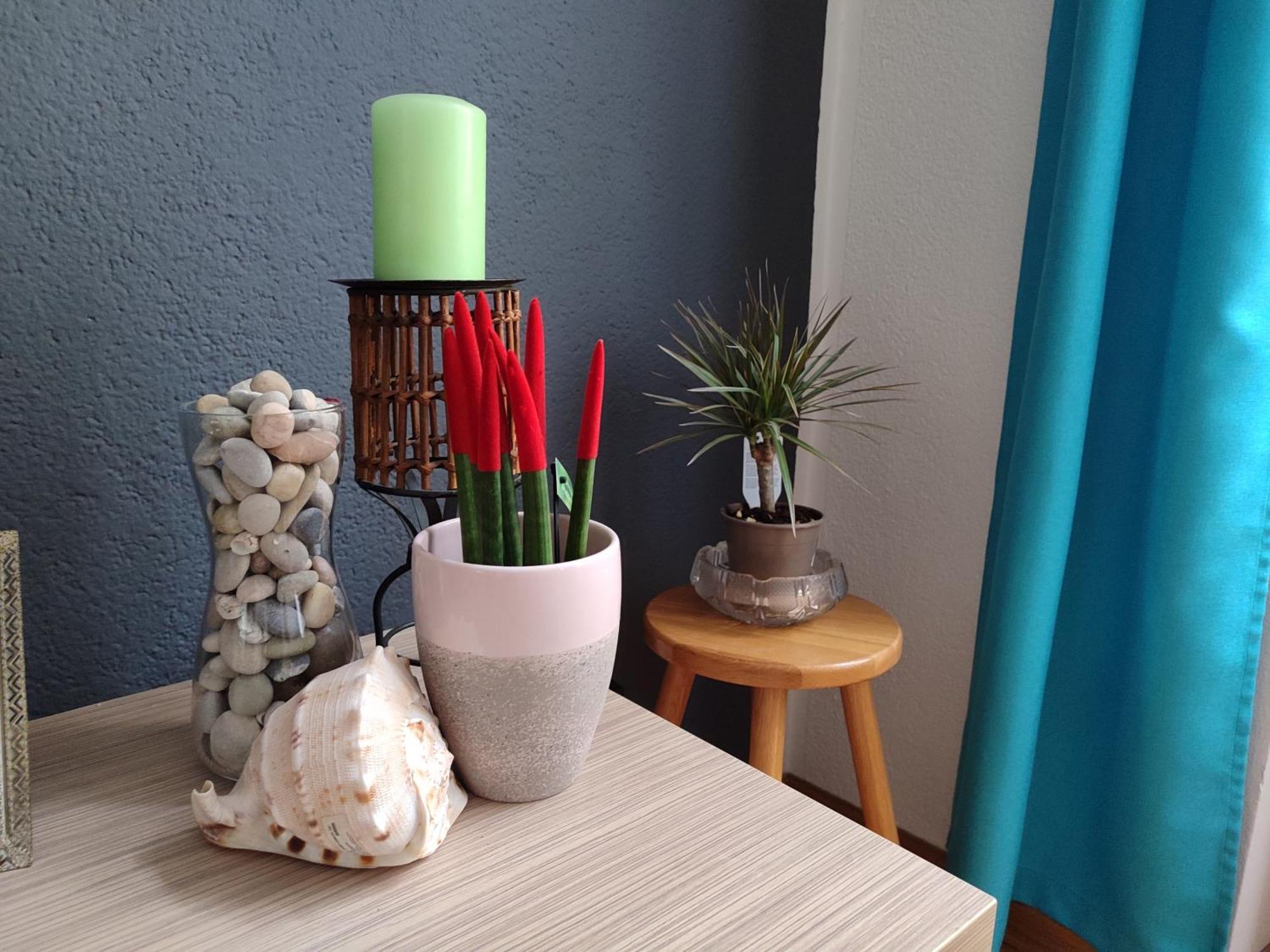 Djana Apartment 塞拉耶佛 外观 照片
